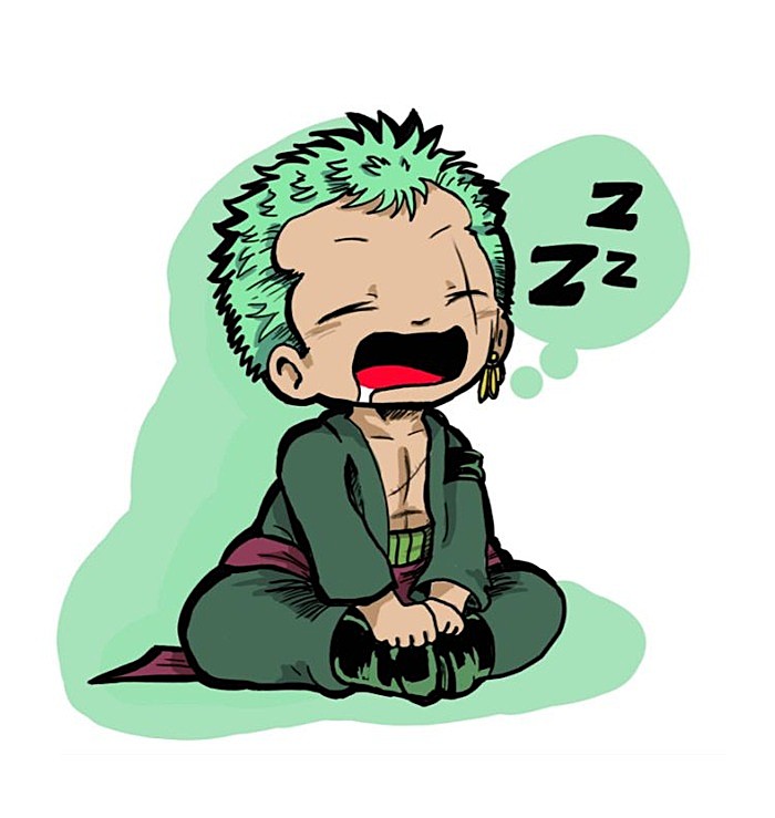 anh chibi zoro