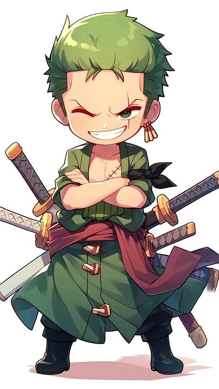 hình zoro