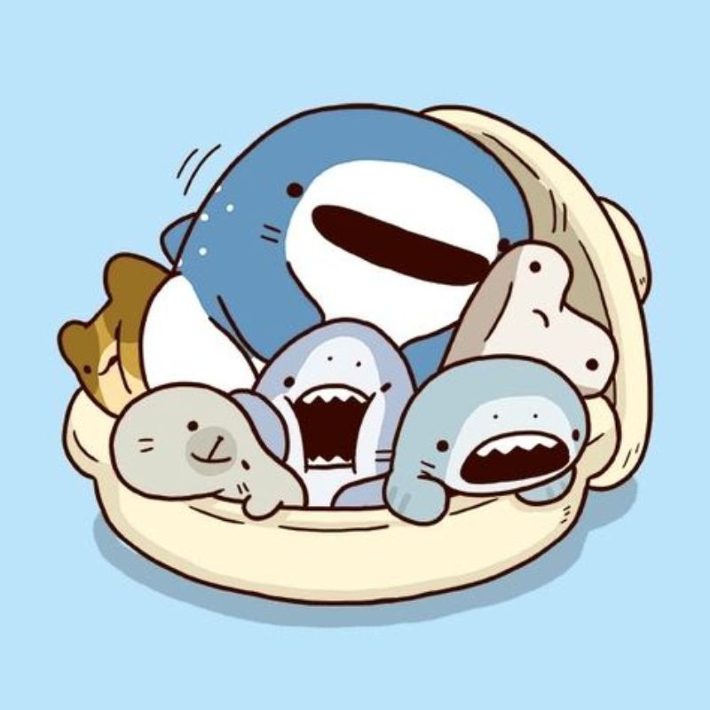 ảnh cá mập chibi đẹp nhất