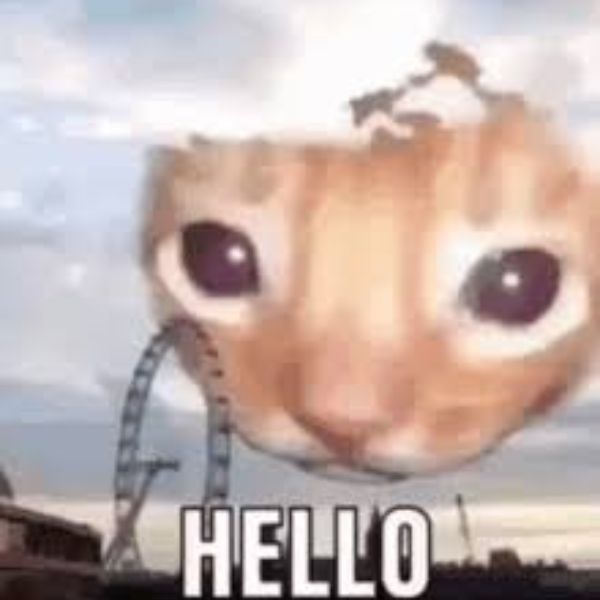 ảnh meme hello chế