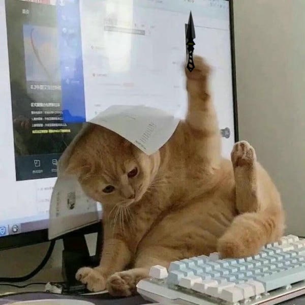 ảnh meme mèo cầm dao hài hước