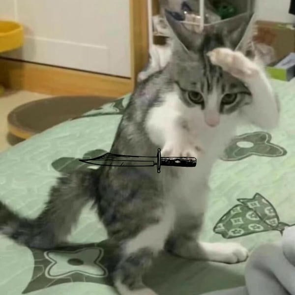 ảnh meme mèo cầm dao siêu hài hước