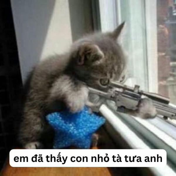 ảnh meme mèo cầm súng chất