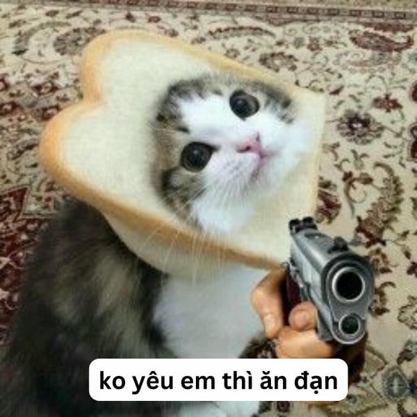 ảnh meme mèo cầm súng cực hài hước