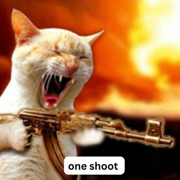 ảnh meme mèo cầm súng cực hài