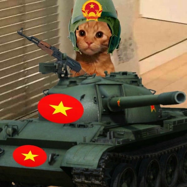 ảnh meme mèo cầm súng cute nhất