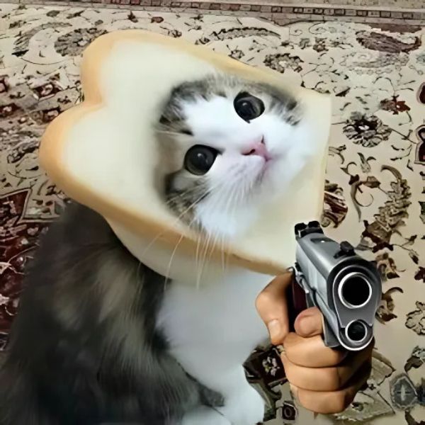 ảnh meme mèo cầm súng cute