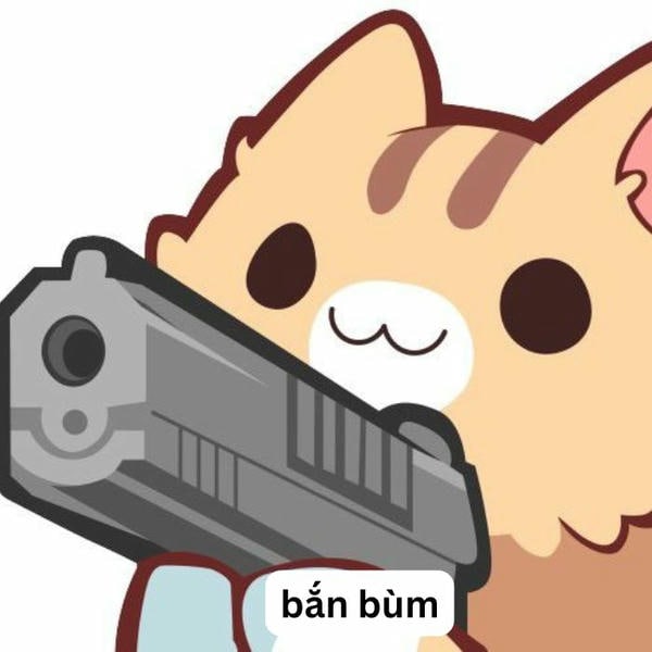 ảnh meme mèo cầm súng hài