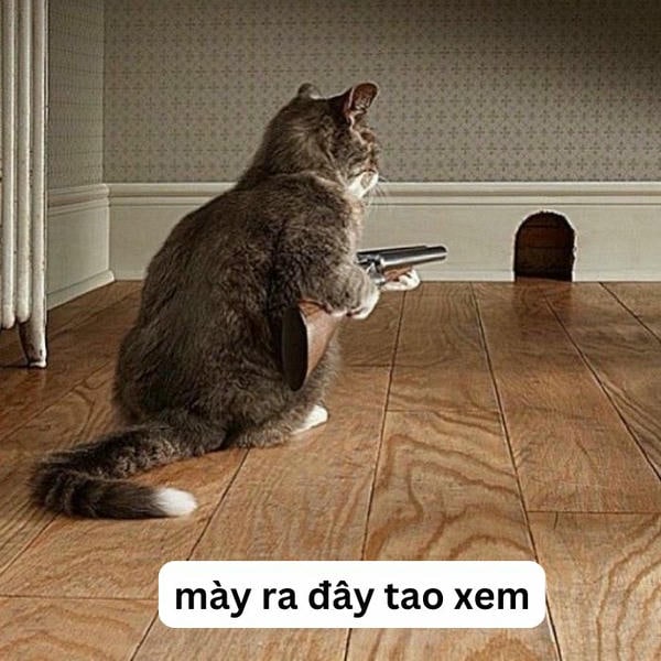 ảnh meme mèo cầm súng siêu chất