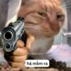 Top 50+ hình ảnh meme mèo cầm súng khiến bạn cười ra nước mắt