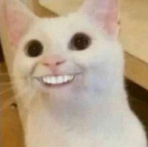 ảnh meme mèo cười siêu bựa