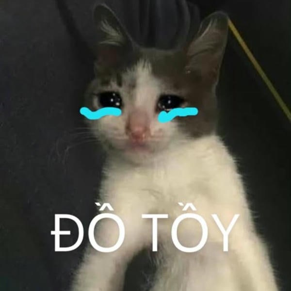 ảnh meme mèo khóc cực hài