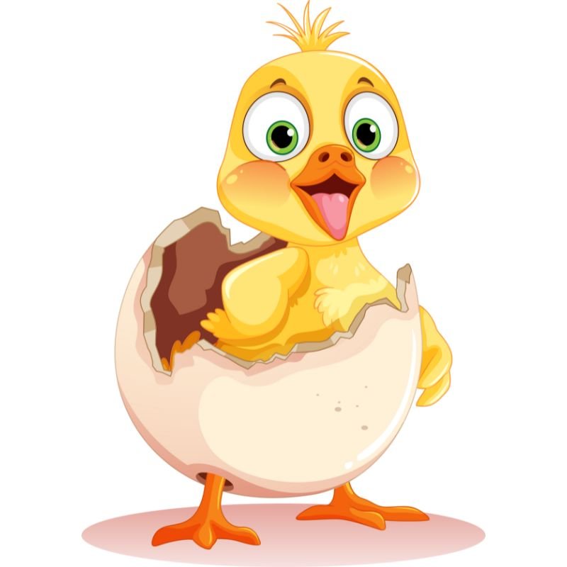 ảnh vịt cute chibi dễ thương
