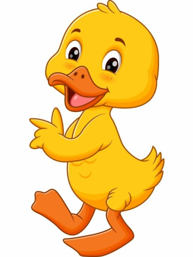 99+ Hình ảnh Vịt cute chibi độc đáo dành cho người yêu thích