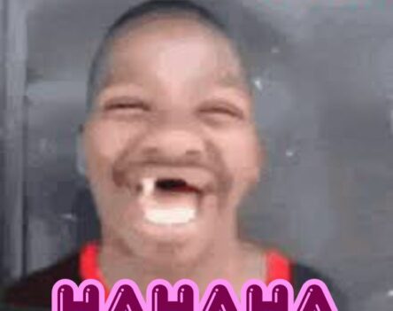 Top 122+ hình ảnh meme haha khiến bạn phải bật cười