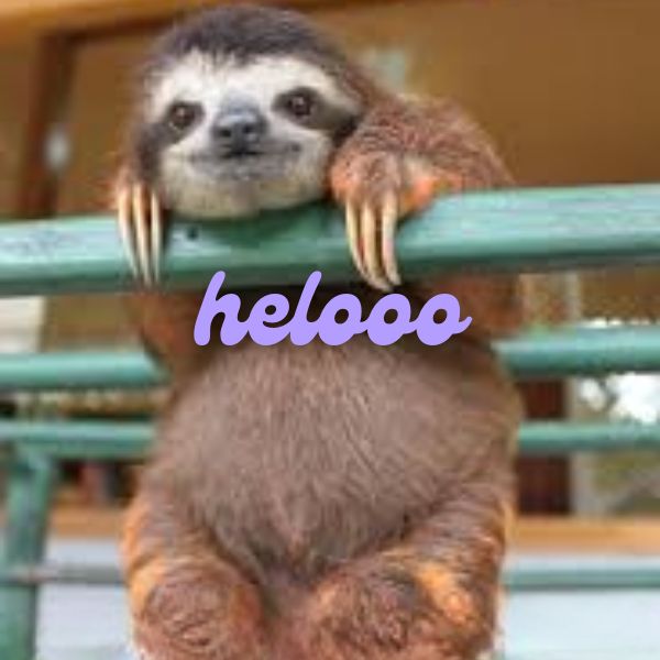 hình ảnh meme hello chế