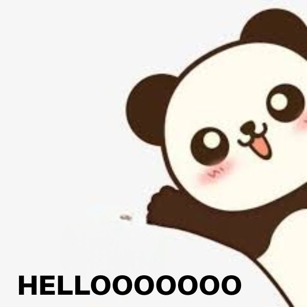 hình ảnh meme hello hài hước