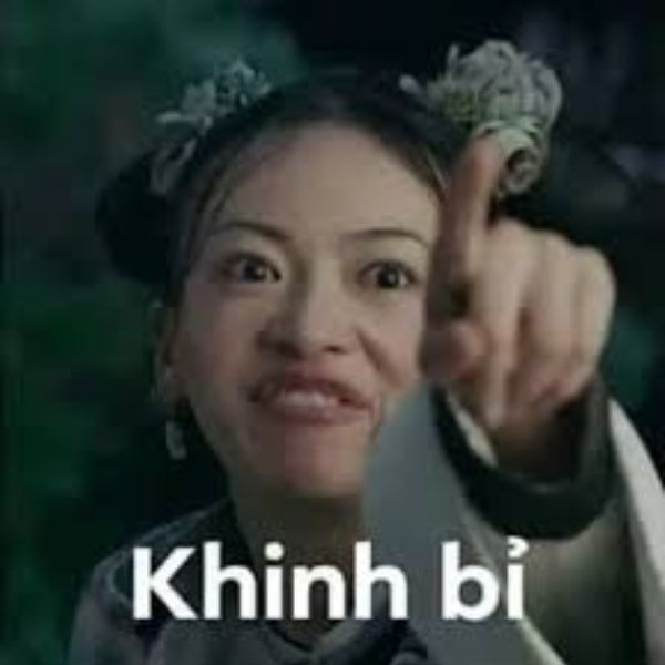 hình ảnh meme khinh bỉ cực hài