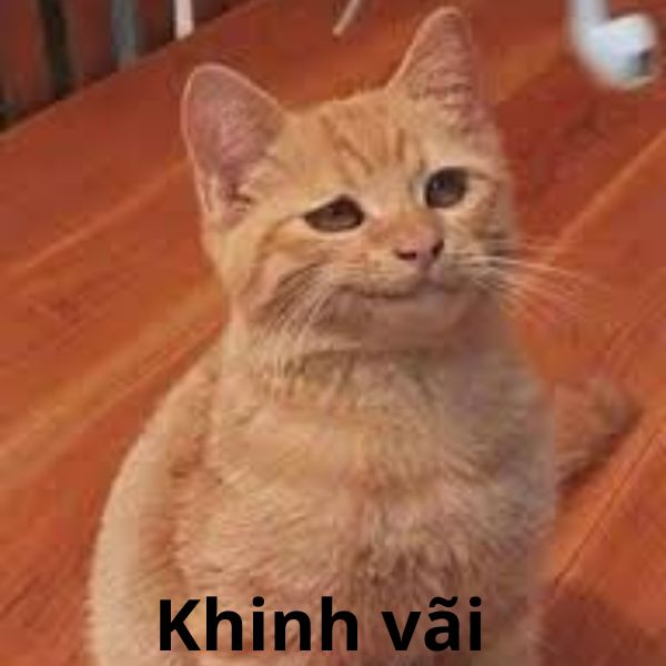 hình ảnh meme khinh bỉ troll team