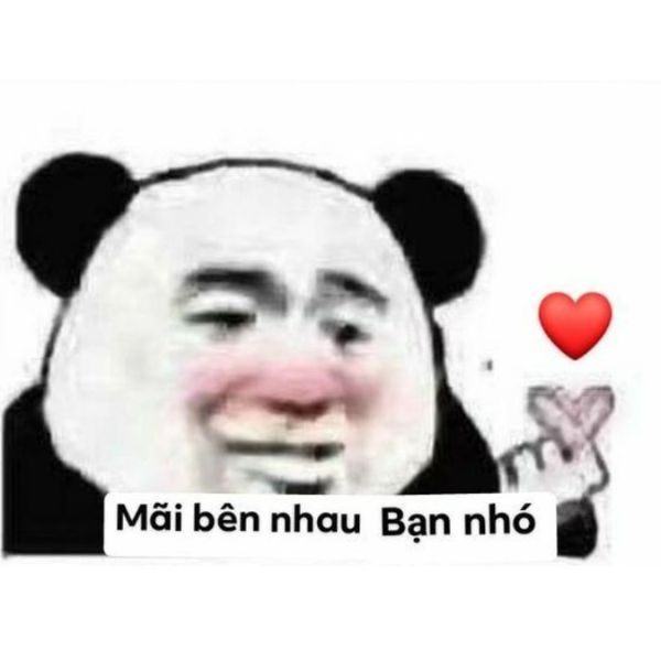 hình ảnh meme tình yêu troll team