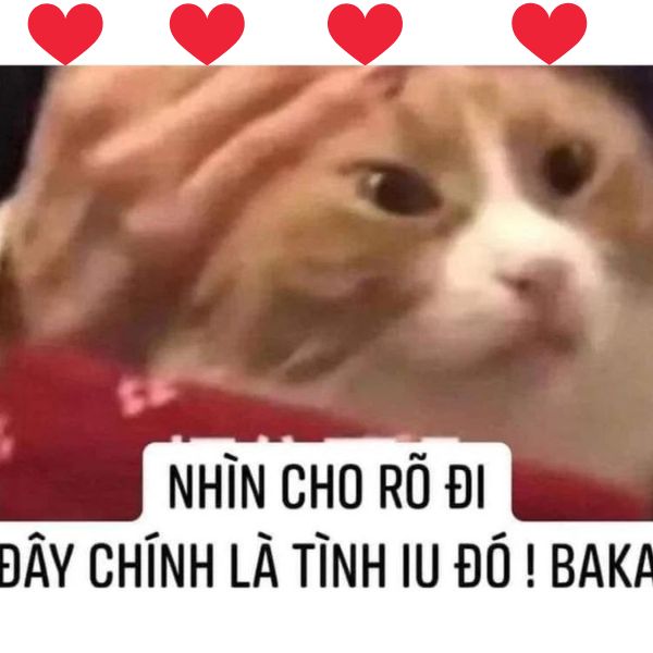 hình ảnh meme tình yêu troll
