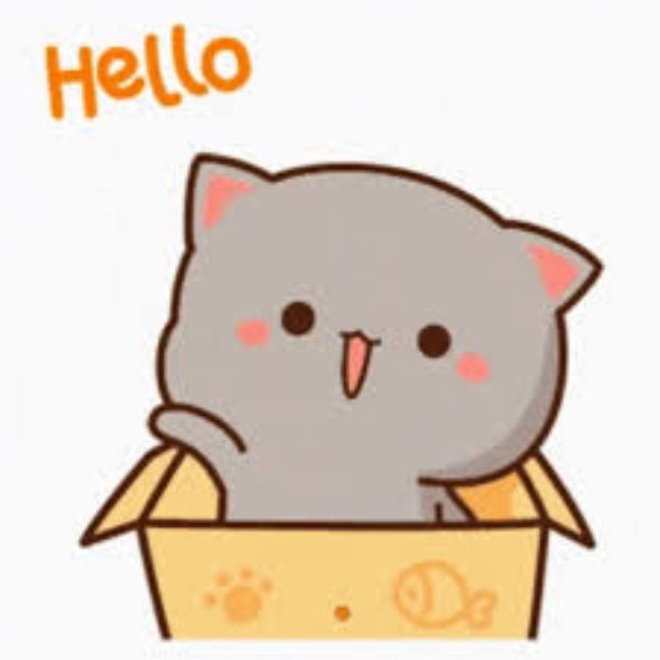 hình meme hello