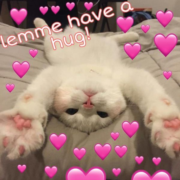 hình meme tình yêu cực hài