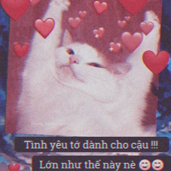 hình meme tình yêu hài