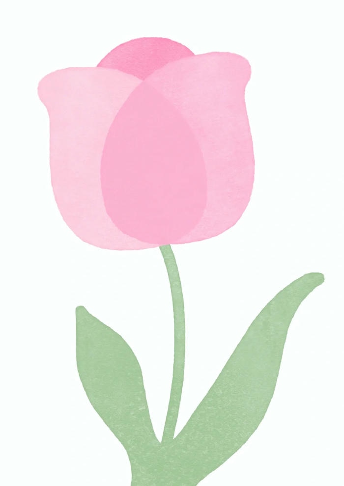 hoa tulip chibi cực xinh