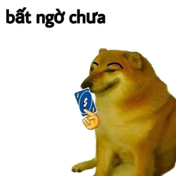 meme bất ngờ dog
