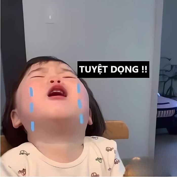 meme buồn khóc nhè