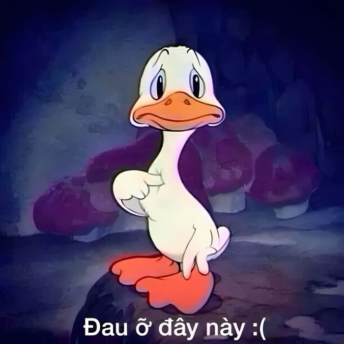meme buồn vịt