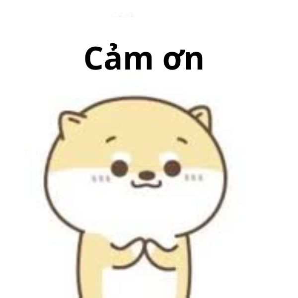 meme cảm ơn chó