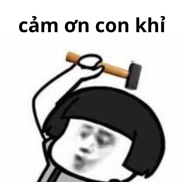 meme cảm ơn con khỉ