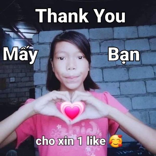 meme cảm ơn mấy
