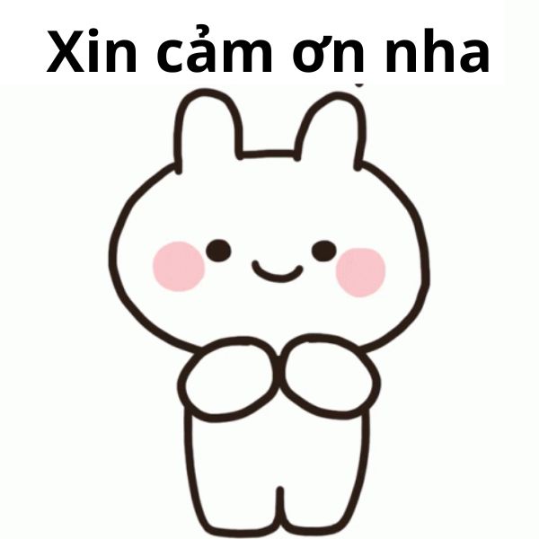 meme cảm ơn nhaa