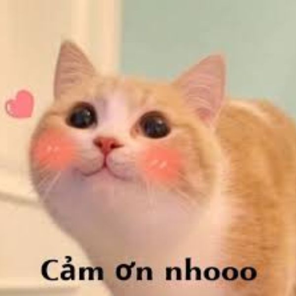 meme cảm ơn nho