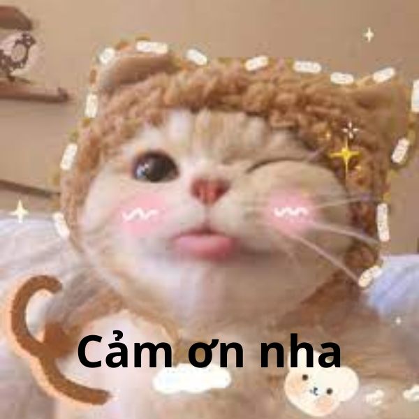 meme cảm ơn nha