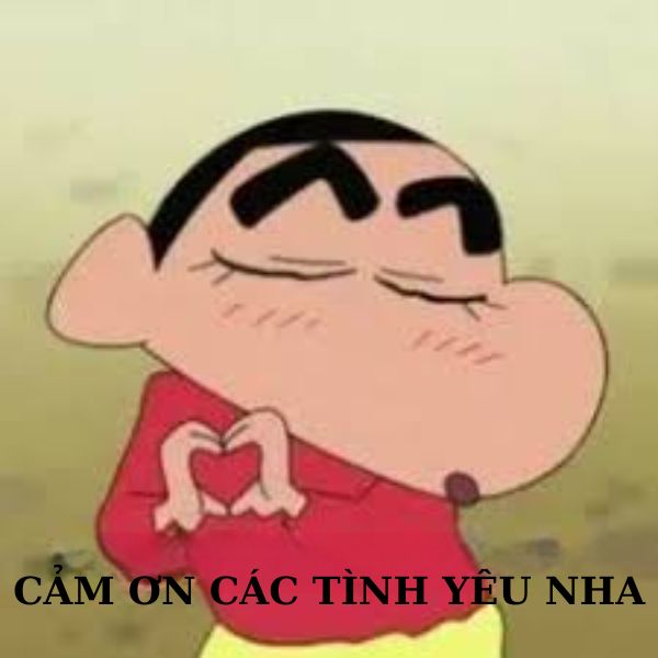 meme cảm ơn shin