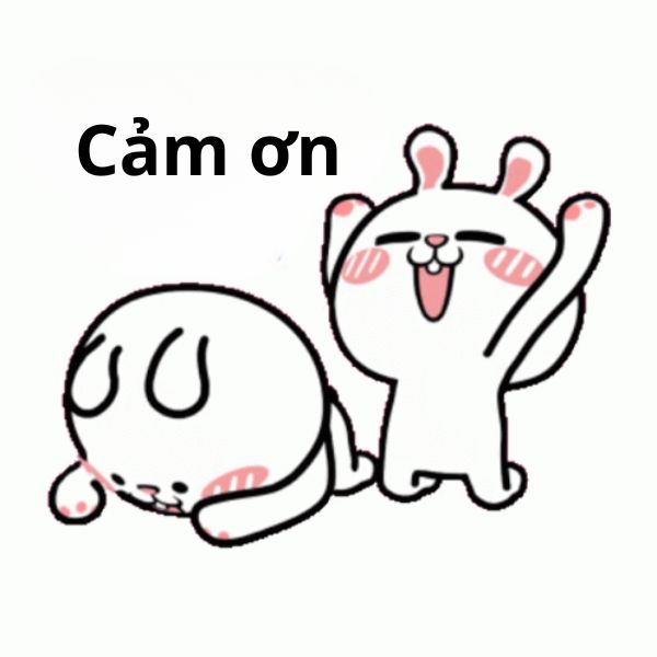meme cảm ơn thỏ
