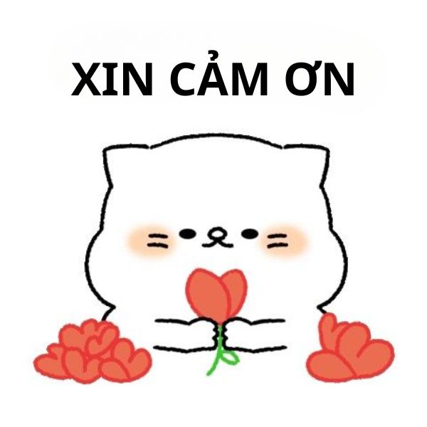 meme cảm ơn cầm hoa