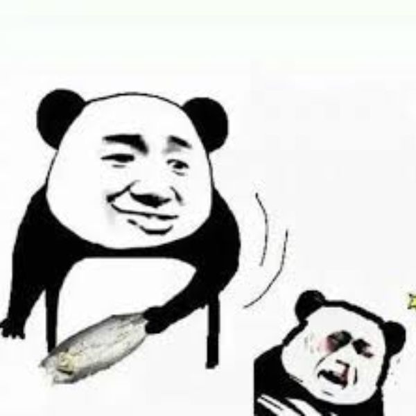 meme chê gấu