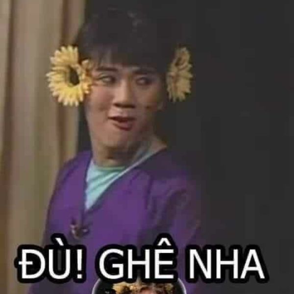 meme chê nha