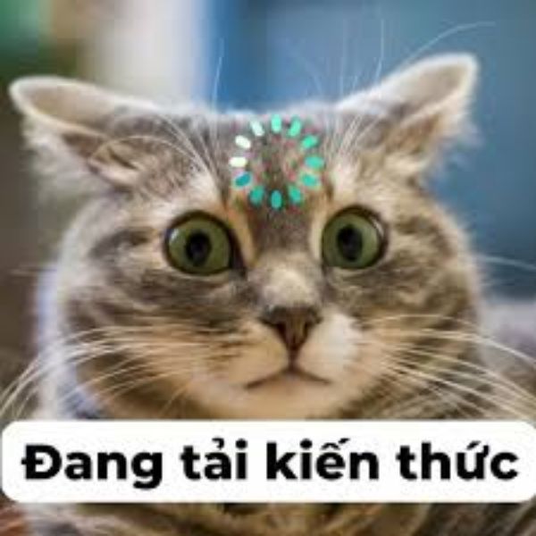 meme chê tải kiến thức