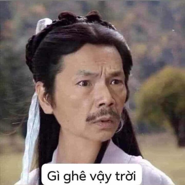 meme chê