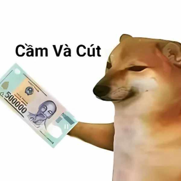 meme chó cầm tiền