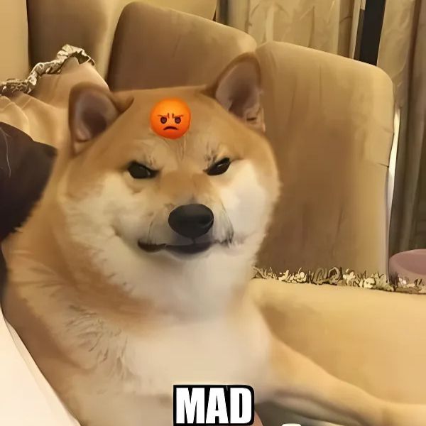 meme chó giận
