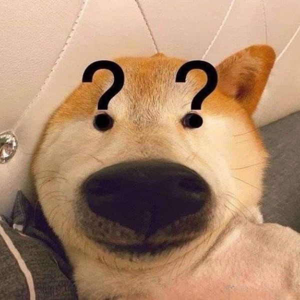 meme chó hỏi chấm
