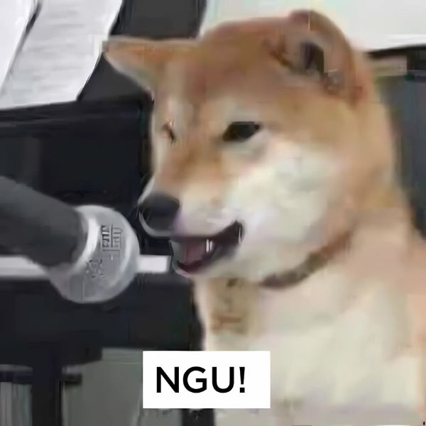 meme chó ngu