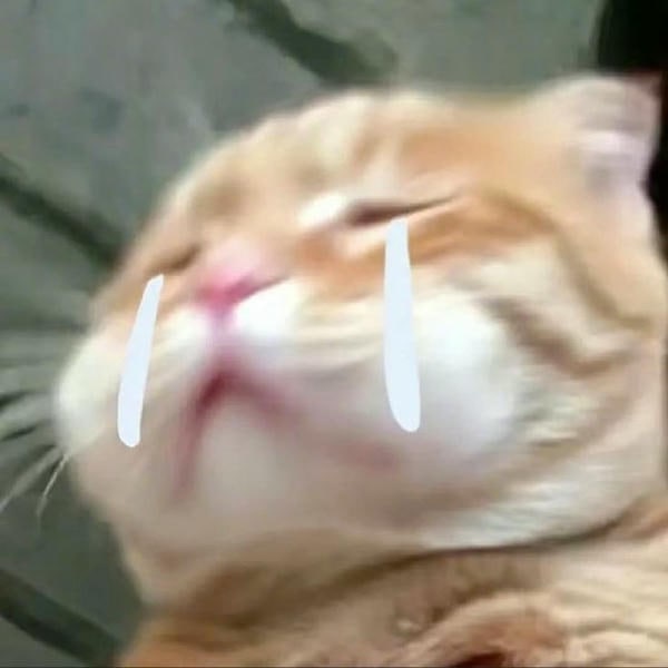 meme crying con mèo